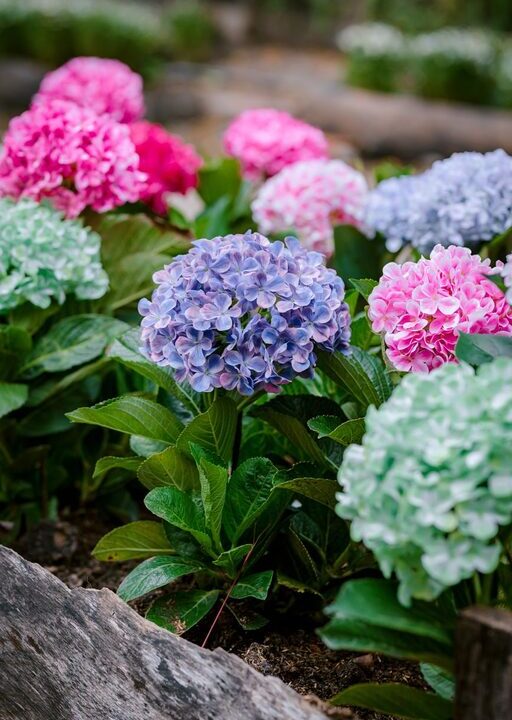 How to Rotate and Care for Bedding Properly for Lasting Comfort