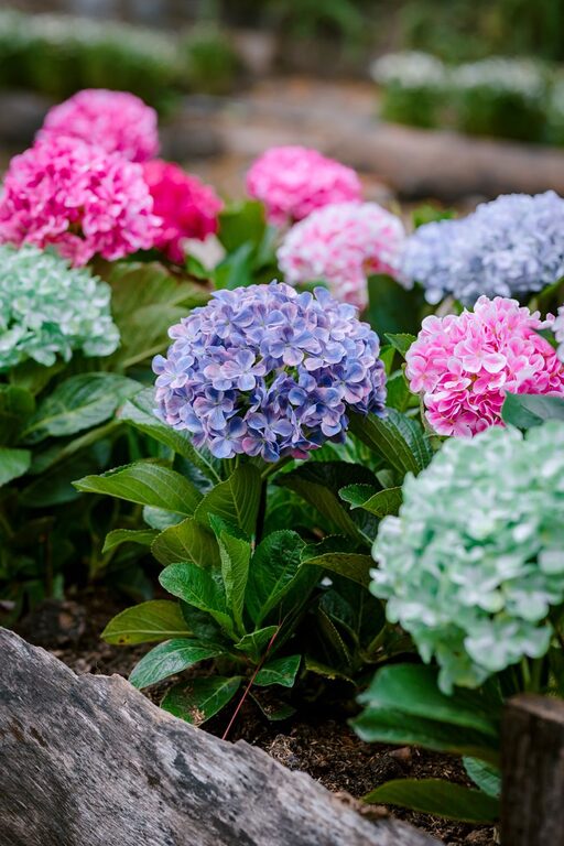 How to Rotate and Care for Bedding Properly for Lasting Comfort